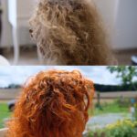 cabane coiffeur